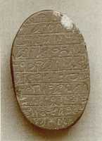 Free download Heart scarab free photo or picture to be edited with GIMP online image editor