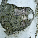 Heart shaped floating tree  screen for extension Chrome web store in OffiDocs Chromium