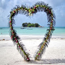 Heart shaped flower gate wallpaper  screen for extension Chrome web store in OffiDocs Chromium
