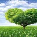 Heart shaped tree wallpaper  screen for extension Chrome web store in OffiDocs Chromium