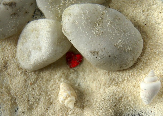 Free picture Heart Stones Shell Greeting -  to be edited by GIMP free image editor by OffiDocs