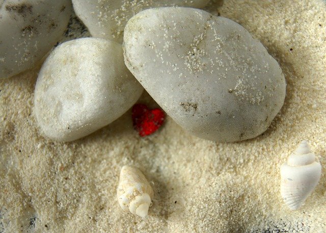 Безкоштовно завантажте Heart Stones Shell Greeting — безкоштовну фотографію чи зображення для редагування за допомогою онлайн-редактора зображень GIMP