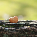 HEART THEME  screen for extension Chrome web store in OffiDocs Chromium