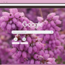 Heather  screen for extension Chrome web store in OffiDocs Chromium