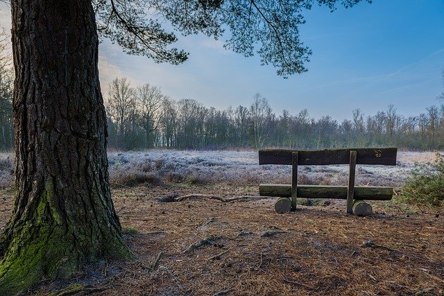 Bezpłatne pobieranie Heathland Bank View - bezpłatne zdjęcie lub obraz do edycji za pomocą internetowego edytora obrazów GIMP