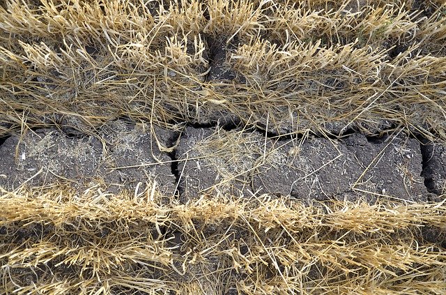 הורדה חינם Heat Wave Drought Climate - תמונה או תמונה בחינם לעריכה עם עורך התמונות המקוון GIMP