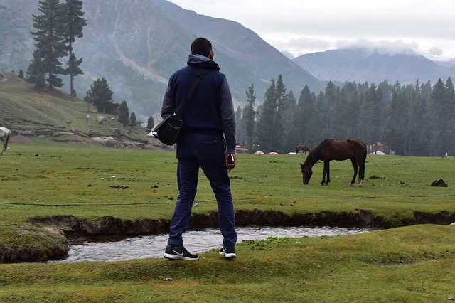 دانلود رایگان Heaven Meadows Mountains - عکس یا تصویر رایگان قابل ویرایش با ویرایشگر تصویر آنلاین GIMP