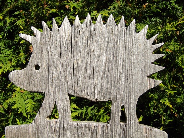 Free download Hedgehog Garden Fence -  free free photo or picture to be edited with GIMP online image editor