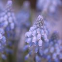 Hekiwi Theme  screen for extension Chrome web store in OffiDocs Chromium