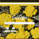 Helichrysum  screen for extension Chrome web store in OffiDocs Chromium