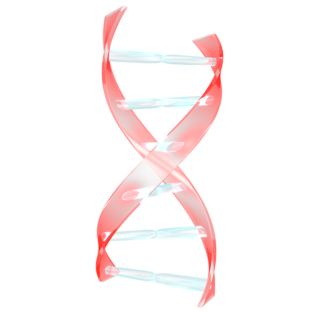 Free download Helix Dna Science -  free illustration to be edited with GIMP free online image editor