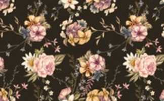 Free download help-with-essay free photo or picture to be edited with GIMP online image editor