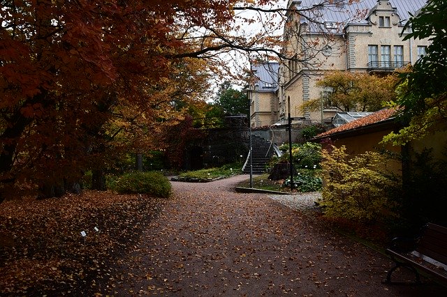 Muat turun percuma Helsinki Botanical Garden Evening - foto atau gambar percuma untuk diedit dengan editor imej dalam talian GIMP