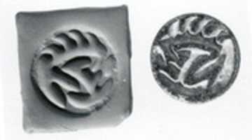 Free download Hemispheroid seal with radiating lines on back free photo or picture to be edited with GIMP online image editor