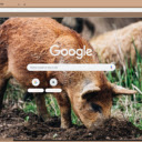 Heo dat  screen for extension Chrome web store in OffiDocs Chromium