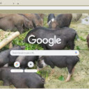 Heo man  screen for extension Chrome web store in OffiDocs Chromium