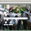 Heo rung  screen for extension Chrome web store in OffiDocs Chromium