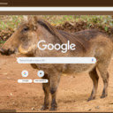 Heo rung chau Phi  screen for extension Chrome web store in OffiDocs Chromium