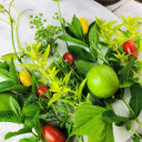 Herbs in the garden  screen for extension Chrome web store in OffiDocs Chromium