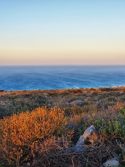 تحميل مجاني لأعشاب الطبيعة انظر جزيرة كريت اليونان للصور المجانية ليتم تحريرها باستخدام محرر الصور المجاني على الإنترنت من GIMP