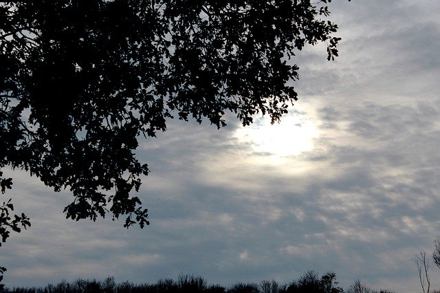 Free download Herfstzonnetje Cloud Cover Leaves -  free free photo or picture to be edited with GIMP online image editor