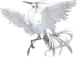 Free download Heron Clipart free photo or picture to be edited with GIMP online image editor
