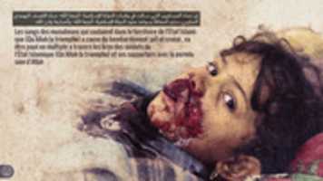 Free download hgfffg free photo or picture to be edited with GIMP online image editor