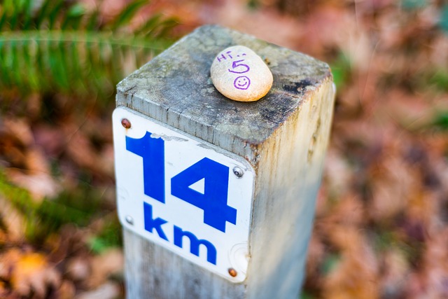 Free download hi 5 14 km stone message uplifting free picture to be edited with GIMP free online image editor