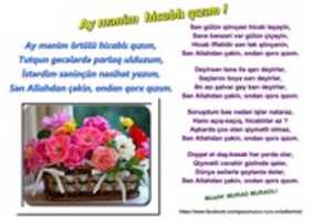 Free download Hicabl; Q;z;m, free photo or picture to be edited with GIMP online image editor
