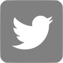 Hide Twitter Followers  screen for extension Chrome web store in OffiDocs Chromium