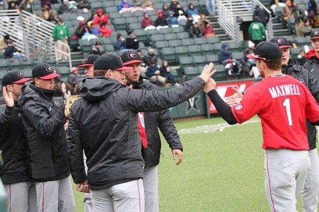 Bezpłatne pobieranie High Five Baseball Players - bezpłatne zdjęcie lub obraz do edycji za pomocą internetowego edytora obrazów GIMP