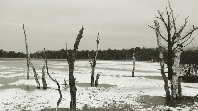 Muat turun percuma High Moor Winter Snow - foto atau gambar percuma untuk diedit dengan editor imej dalam talian GIMP