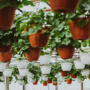 High rise trellis  screen for extension Chrome web store in OffiDocs Chromium