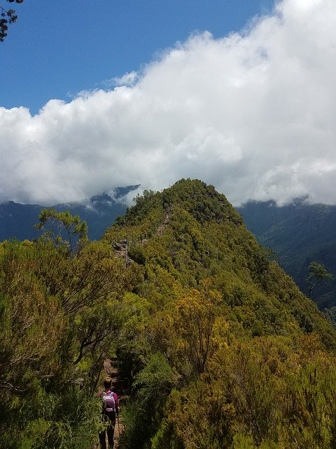Descarga gratuita Hike Adventure Madeira: foto o imagen gratuita para editar con el editor de imágenes en línea GIMP