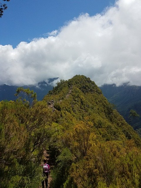 Gratis download Hike Adventure Madeira - gratis foto of afbeelding om te bewerken met GIMP online afbeeldingseditor