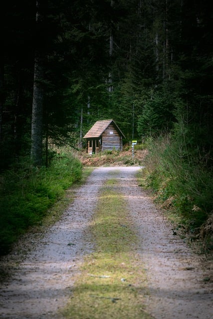 Free download hike forest hut dark path house free picture to be edited with GIMP free online image editor