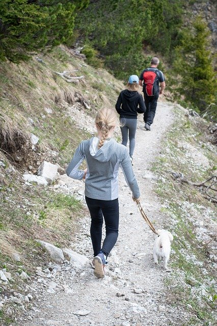 Скачать бесплатно Hike Hiking Trail - бесплатное фото или изображение для редактирования с помощью онлайн-редактора изображений GIMP