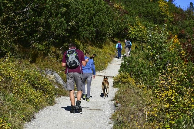Download gratuito Hiking Mountains Alpine: foto o immagini gratuite da modificare con l'editor di immagini online GIMP