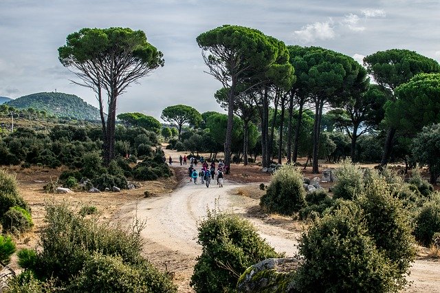 ดาวน์โหลดฟรี Hiking Nature Walk - รูปถ่ายหรือรูปภาพฟรีที่จะแก้ไขด้วยโปรแกรมแก้ไขรูปภาพออนไลน์ GIMP