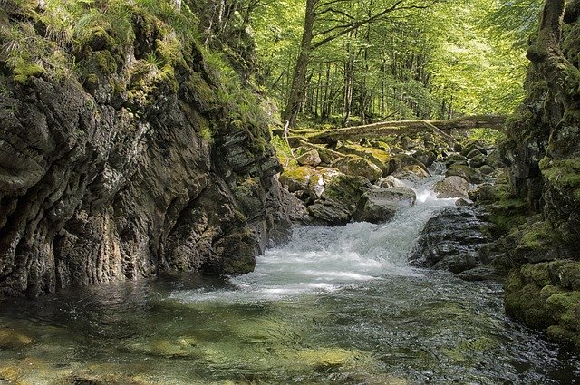 Téléchargement gratuit de Randonnée Rivière Nature - photo ou image gratuite à modifier avec l'éditeur d'images en ligne GIMP