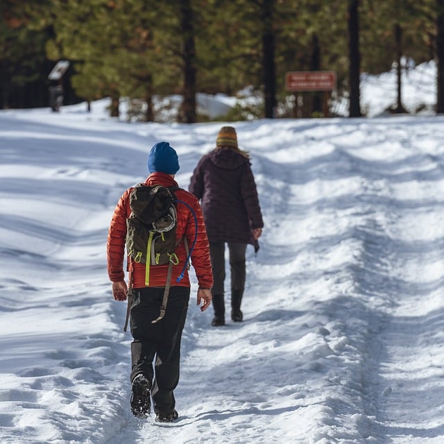 Free download hiking snow winter road path free picture to be edited with GIMP free online image editor
