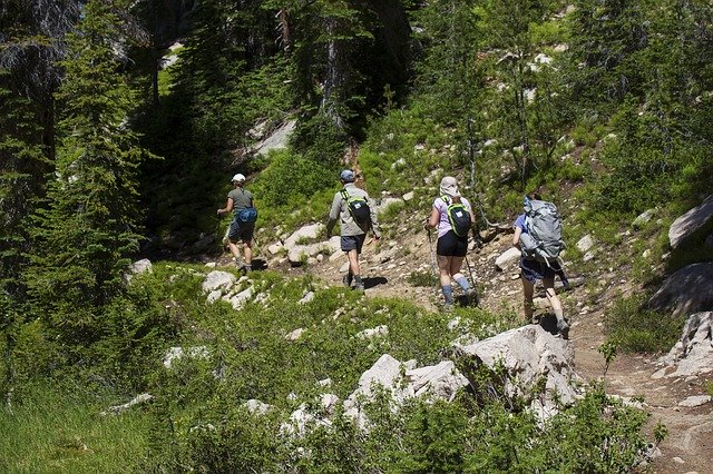 Descărcare gratuită Hiking Trail Hikers - fotografie sau imagini gratuite pentru a fi editate cu editorul de imagini online GIMP