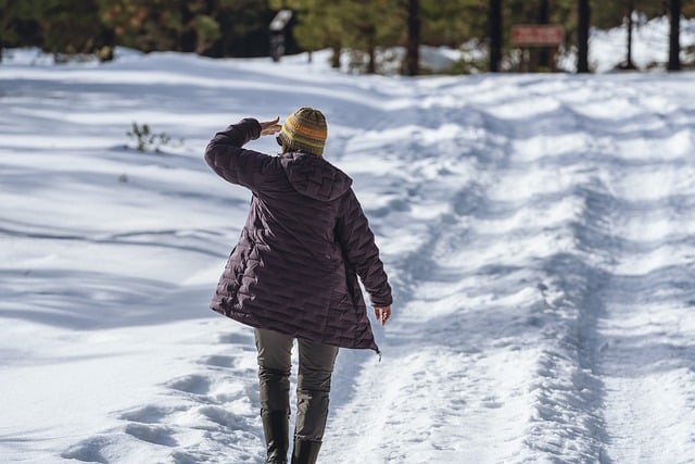 Free download hiking woman snow winter road free picture to be edited with GIMP free online image editor