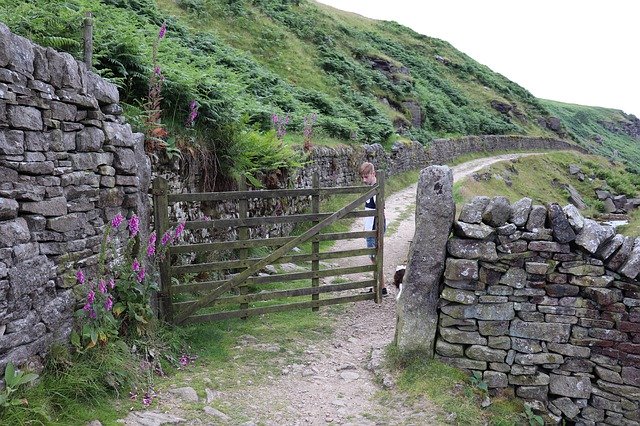 Descărcare gratuită Hill Green Yorkshire - fotografie sau imagine gratuită pentru a fi editată cu editorul de imagini online GIMP