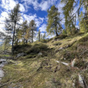 Hills and coniferous trees  screen for extension Chrome web store in OffiDocs Chromium