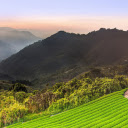 Hills and fields  screen for extension Chrome web store in OffiDocs Chromium