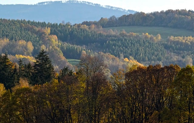Free download hills forest landscape panorama free picture to be edited with GIMP free online image editor
