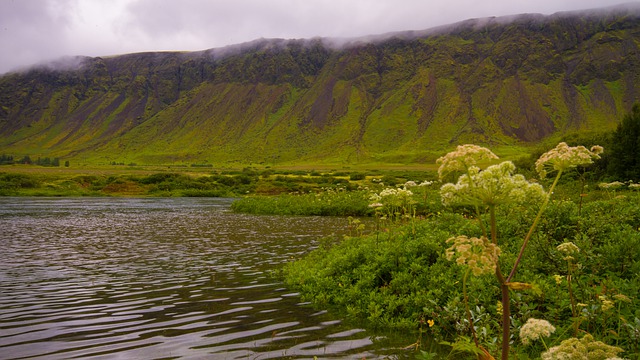 Free download hillside river fog iceland moss free picture to be edited with GIMP free online image editor
