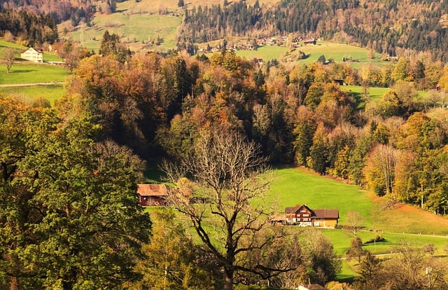 免费下载山上树木繁茂的乡村草地村庄免费图片可使用 GIMP 免费在线图像编辑器进行编辑