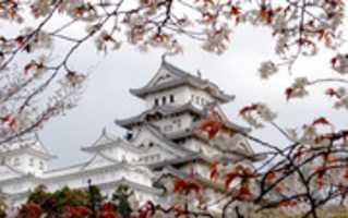 Free download Himeji Castle - Photograph free photo or picture to be edited with GIMP online image editor